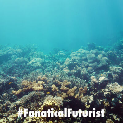 futurist_coral_reefs