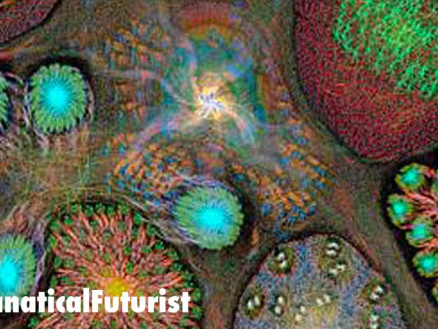 futurist_graphcore_ipu