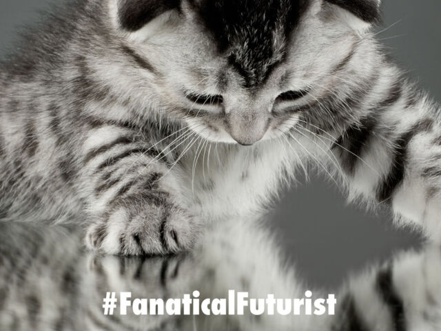futurist_mirror