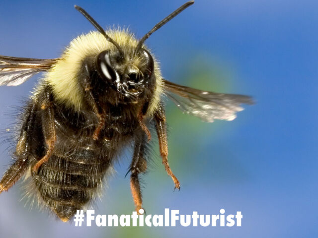 futurist_honey_bees