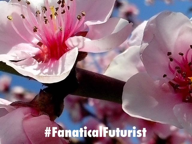 futurist_robo_bees