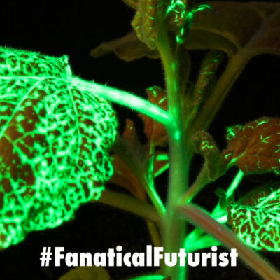 futurist_synthetic_biology