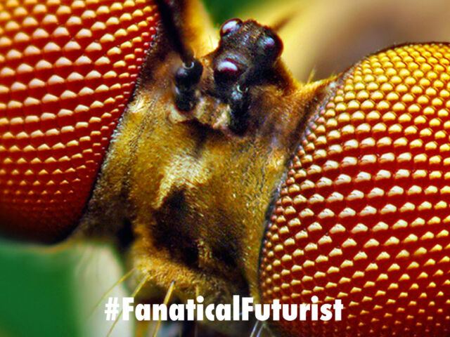 futurist_concious_robots