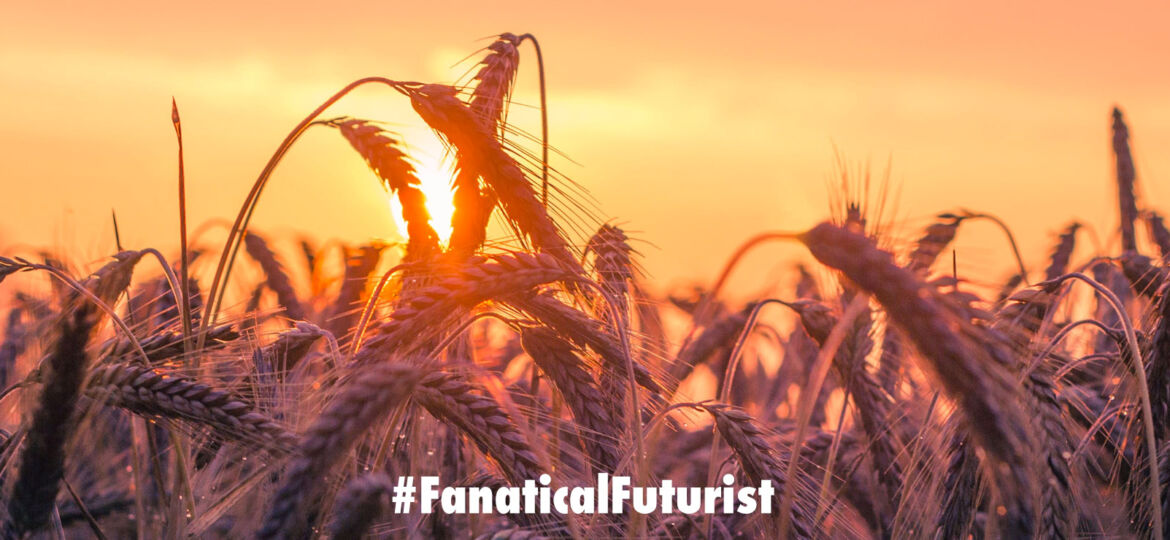 futurist_crops