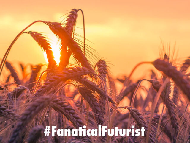 futurist_crops