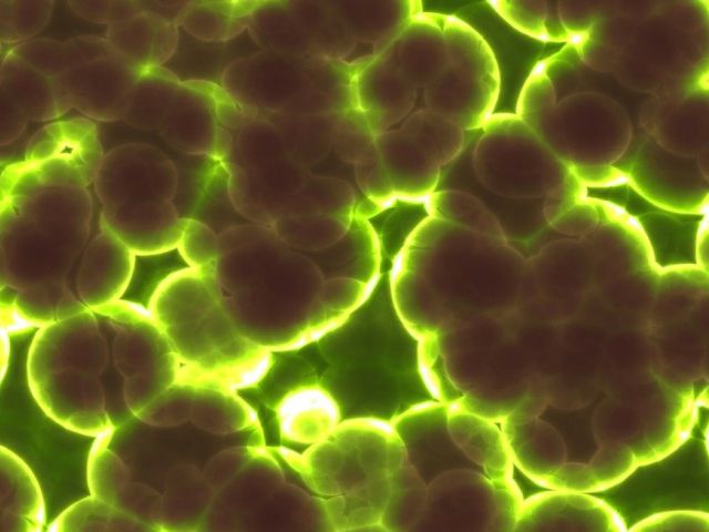 futurist_biobattery_iot