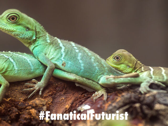 Credit: Shutterstock