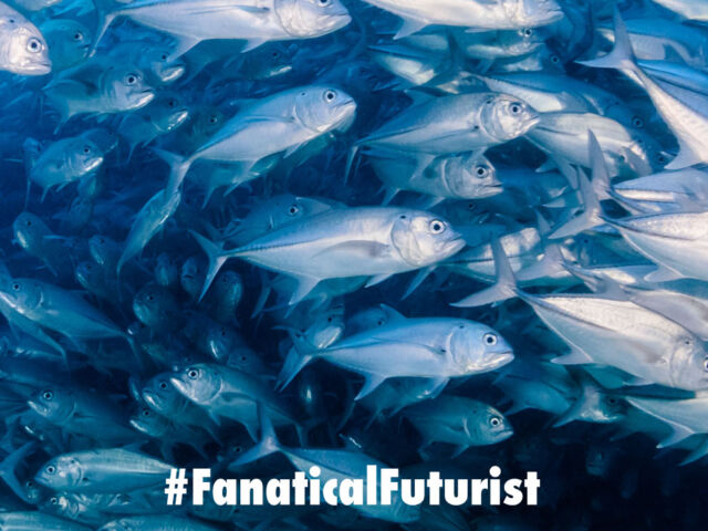 futurist_cleanfish