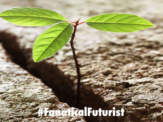 futurist_green_concrete