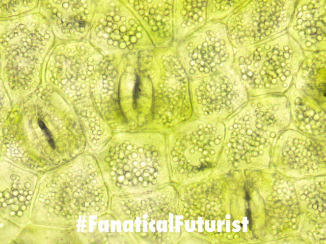 futurist_artifical_photesynthesis