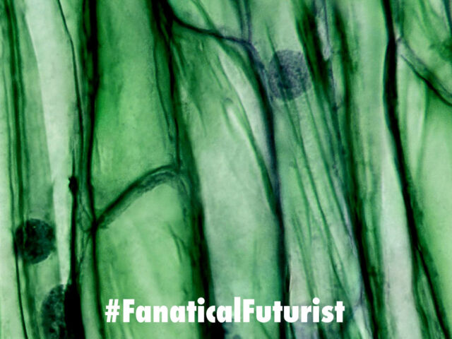 futurist_living_materials
