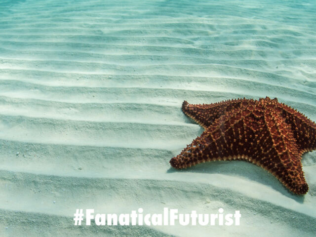 futurist_oceanix_floating_city