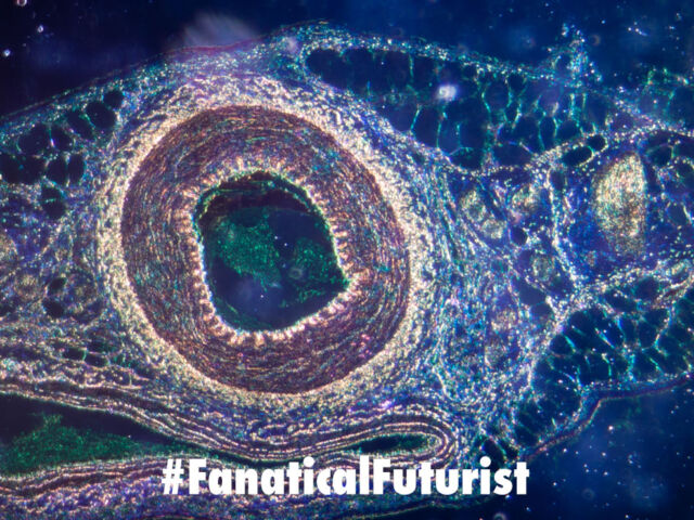 futurist_dual_core_human_computer