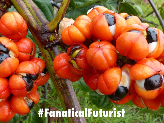 Futurist_superplants