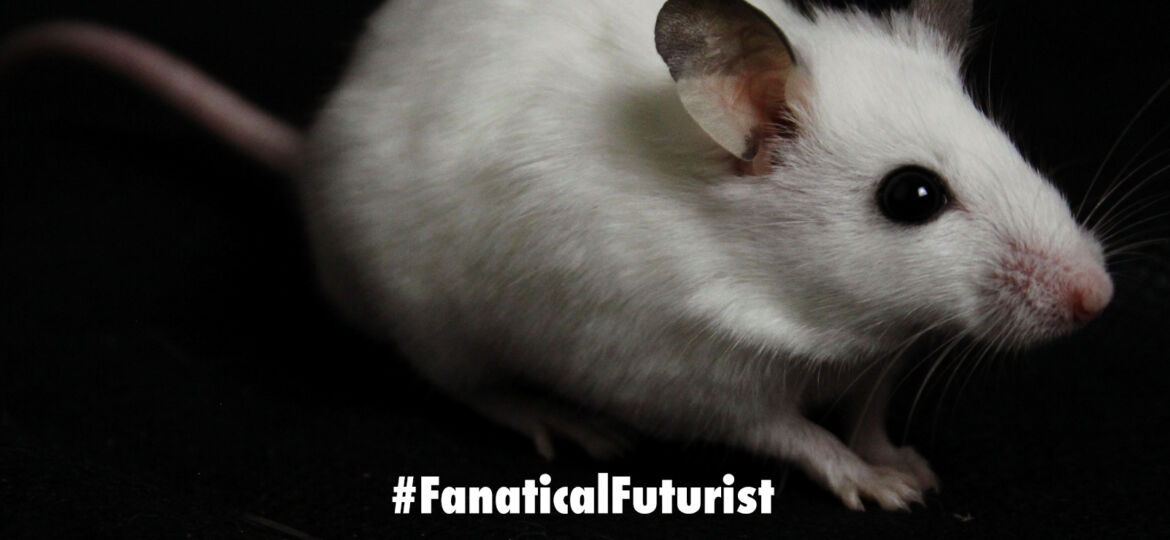 futurist_infrared_mice