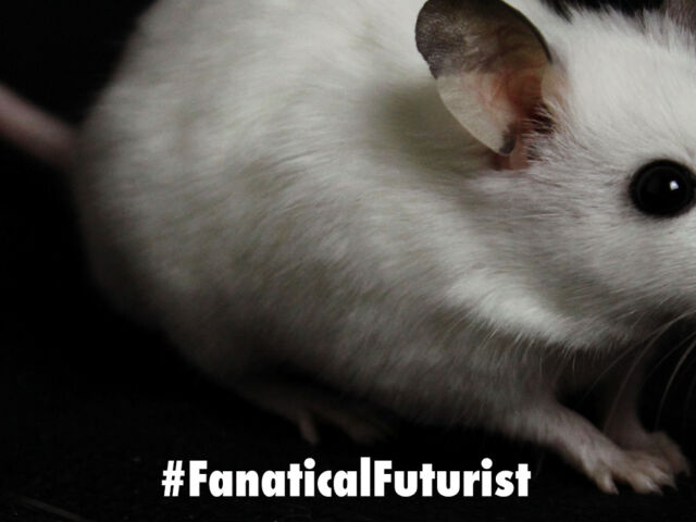 futurist_infrared_mice