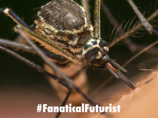 futurist_david_beckham_malaria