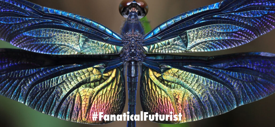 futurist_dragonflies