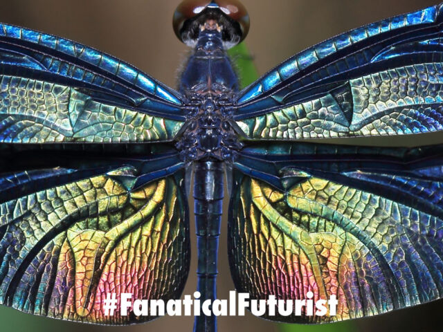 futurist_dragonflies