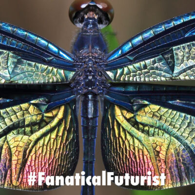 futurist_dragonflies