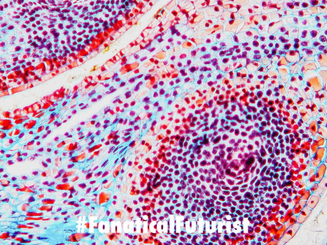 futurist_synthetic_proteins