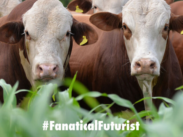 futurist_clean_meat_yeast