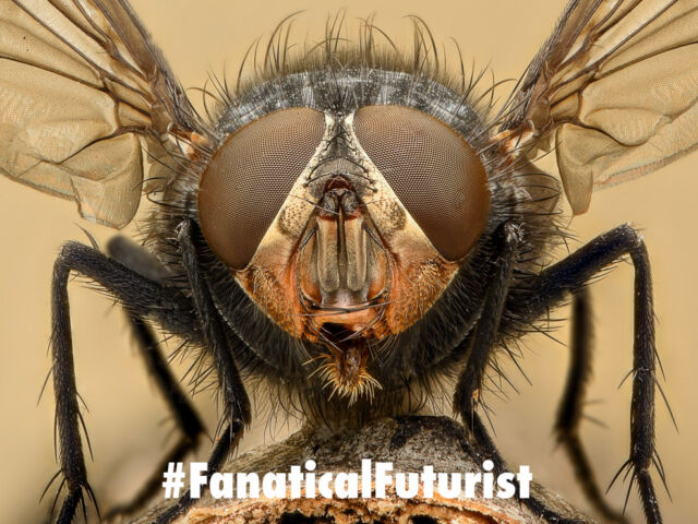 futurist_fruit_fly_poison