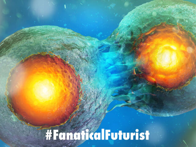 futurist_artificial_cell_division