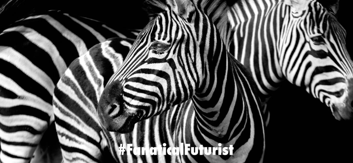 futurist_zebra_meat