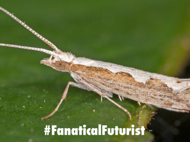 futurist_genetic_engineering