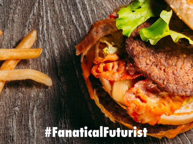 futurist_mcdonalds_dark_kitchen