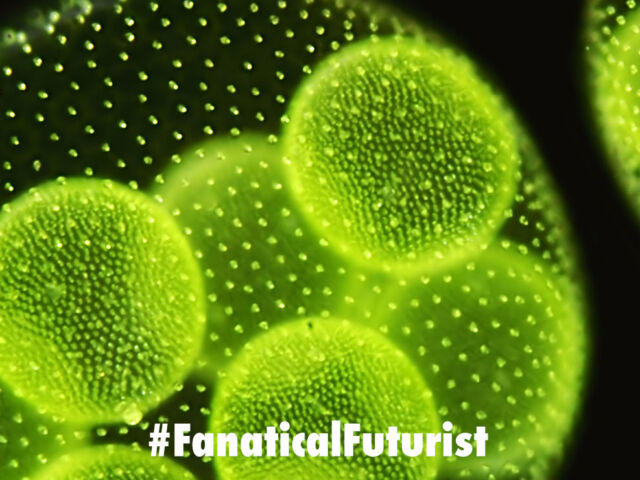futurist_synthetic_cells
