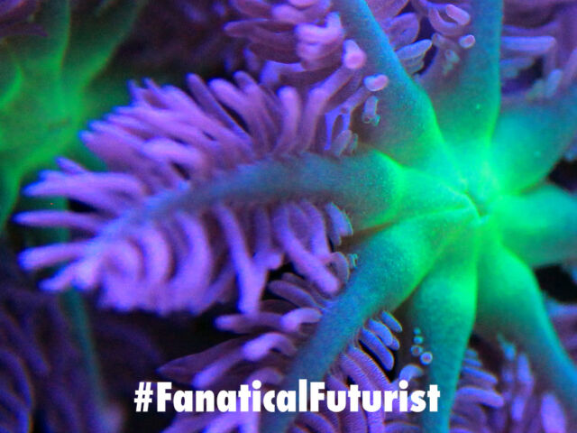 futurist_3d_printed_coral