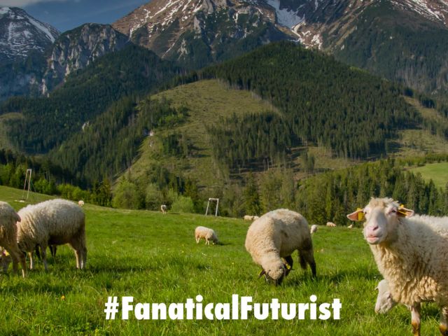 futurist_robots_spot