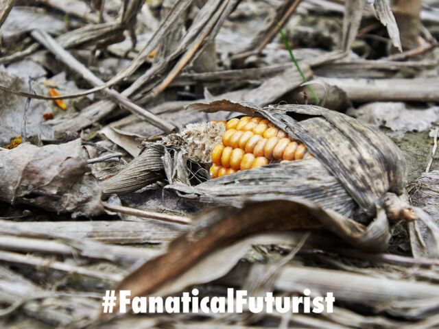 futurist-stress_plants