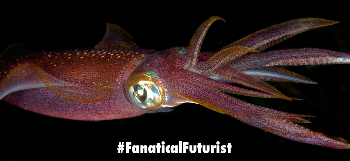 futurist_invisibility_squid