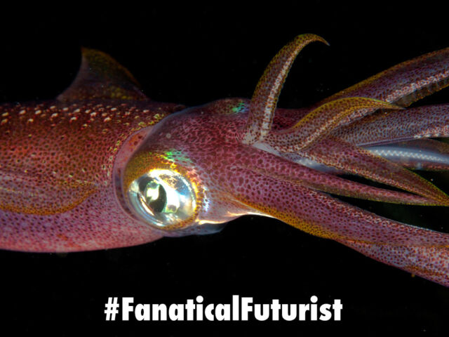 futurist_invisibility_squid