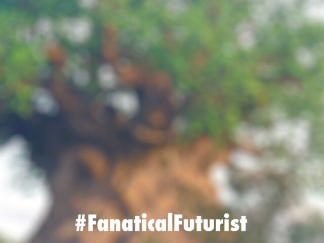 futurist_disney_holodeck