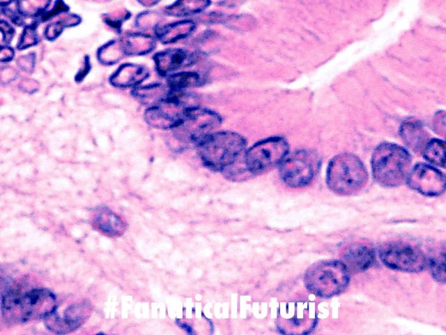 futurist_bioprinting_robot