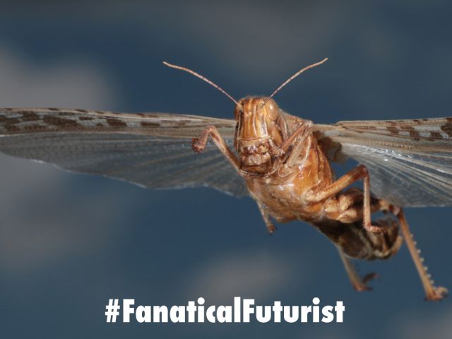 futurist_cyborg_locust