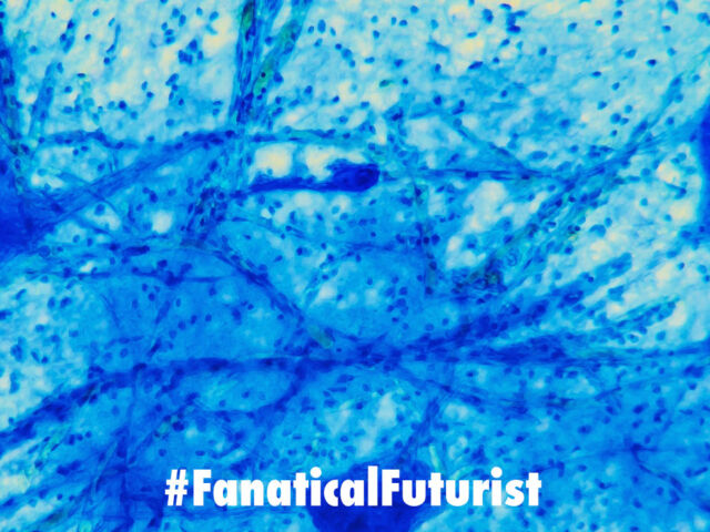 futurist_gpt3_openai