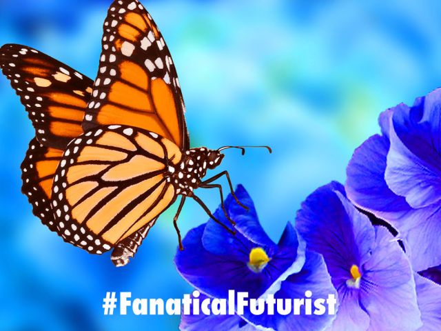 futurist_xaomi_transparent_tv