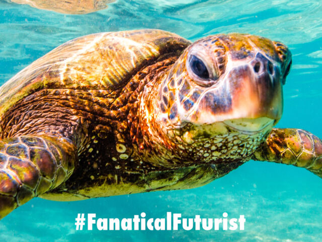 futurist_hologram_samsung