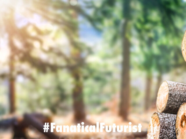 futurist_lab_grown_wood