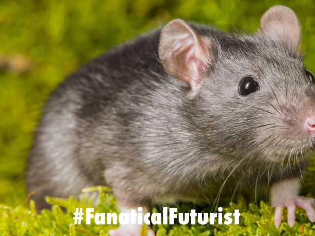 futurist_paralysis_mouse