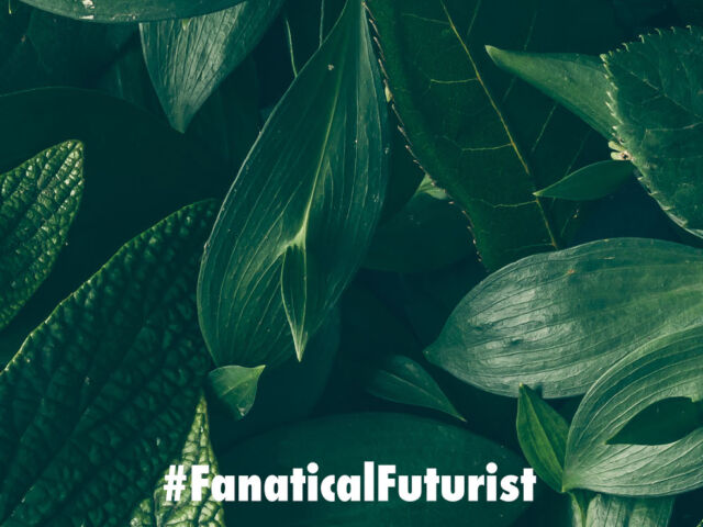 Futurist_plants_comms