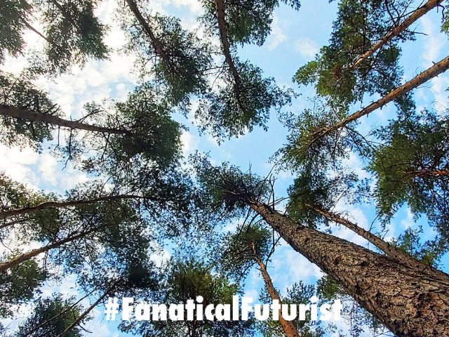 Futurist_carbon_neutral