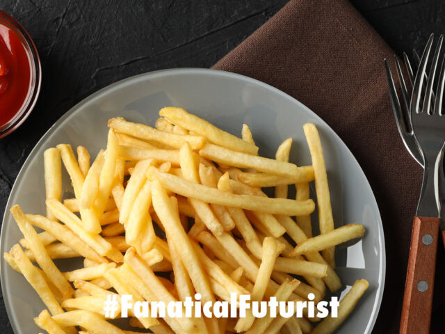 Futurist_cerebras_chip