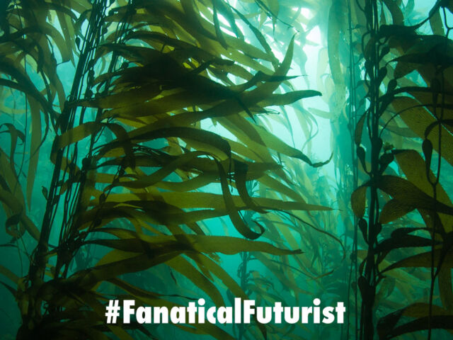 Futurist_kelp_elevator