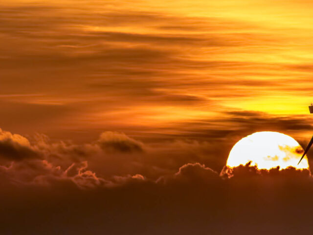 Futurist_gravitystorage